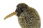 Preview: Kiwi 20 cm